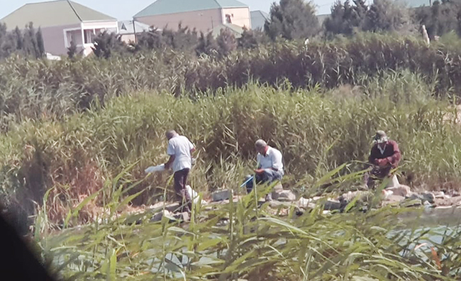 Qəbirstanlıqda yenə... balıq tuturlar - Foto, Video