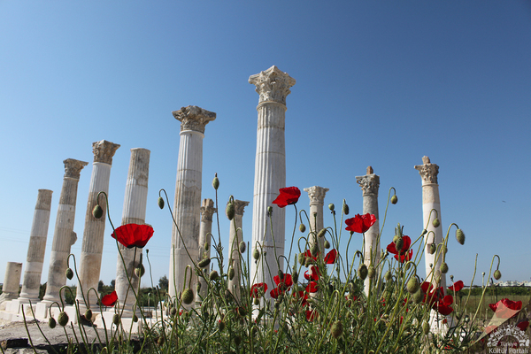 1800 illik qədim Soli Pompeiopolis limanında arxeoloji qazıntılar başlayıb