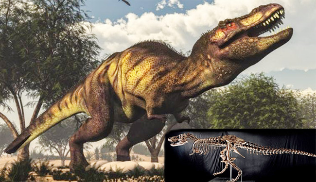 Tədqiqat&ccedil;ılar ikibarmaqlı dinozavrın n&ouml;v&uuml;n&uuml; aşkar ediblər