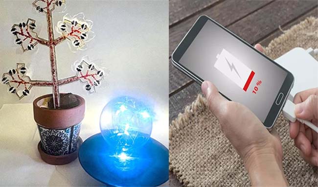 Həm havanı təmizləyən, həm də elektrik enerjisi istehsal edən s&uuml;ni bitki
