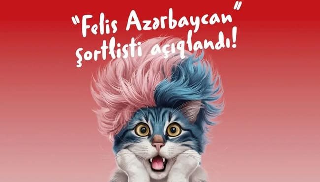 "Felis Azərbaycan"da şortlistlər a&ccedil;ıqlandı