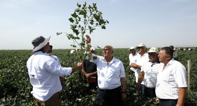 Prime Cotton 30 illik yubileyində pambıq&ccedil;ılar &uuml;&ccedil;&uuml;n ənənəvi &ldquo;A&ccedil;ıq Tarla G&uuml;n&uuml;&rdquo;n&uuml; ke&ccedil;irdi