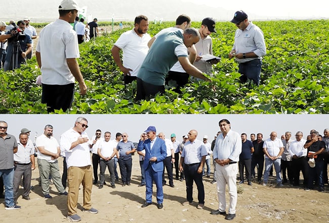 Prime Cotton 30 illik yubileyində pambıqçılar üçün ənənəvi “Açıq Tarla Günü”nü keçirdi