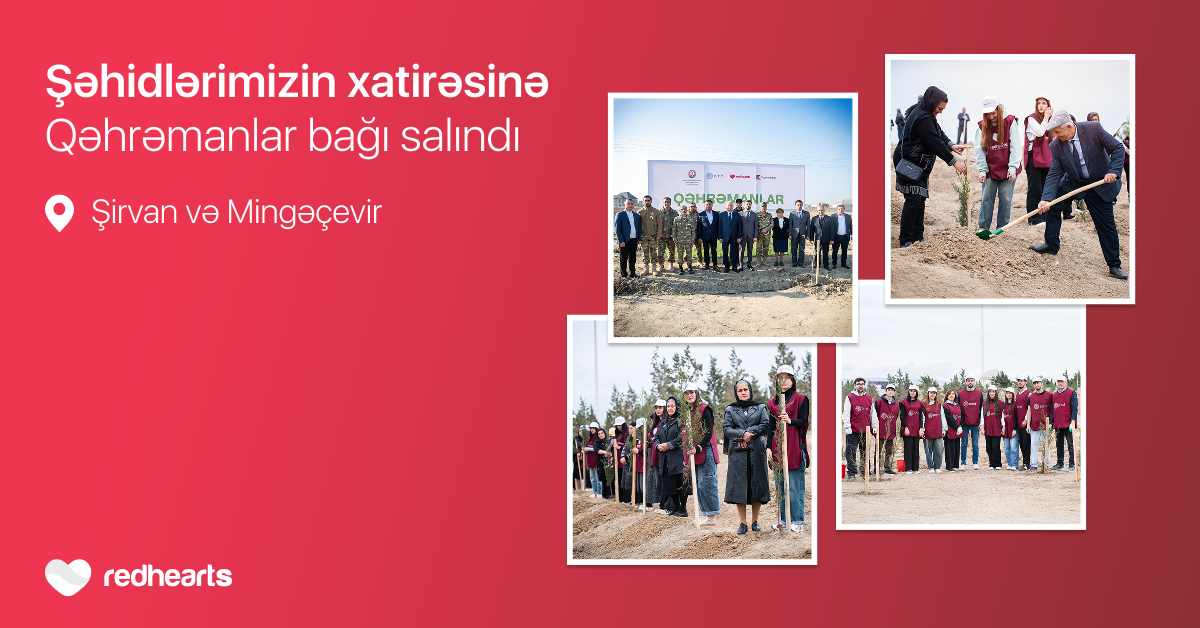 &ldquo;Qəhrəmanlar bağı&rdquo; layihəsi: Şəhidlərin xatirəsinə 543 ağac əkildi