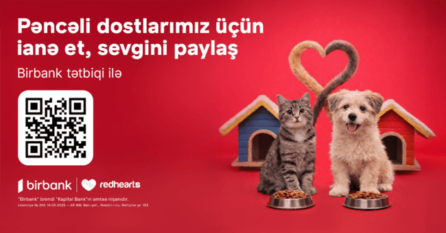 &ldquo;Pəncəli &Uuml;rəklər&rdquo; sahibsiz heyvanlara dəstək aksiyası uğurla davam edir