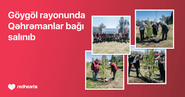 G&ouml;yg&ouml;ldə &ldquo;Qəhrəmanlar bağı&rdquo; aksiyası həyata ke&ccedil;irilib