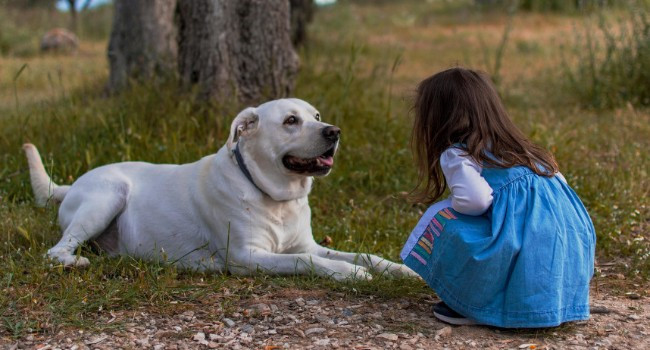Children Growing Up with Dogs Less Likely to Develop Asthma, Study Finds