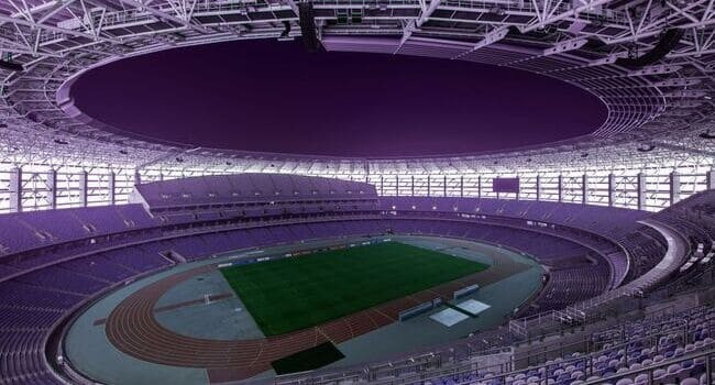 “Nəyə görə sadəcə "stadion yaşıl görünsün, insanlara xoş gəlsin" deyə büdcəni boş-boşuna xərcləyək”